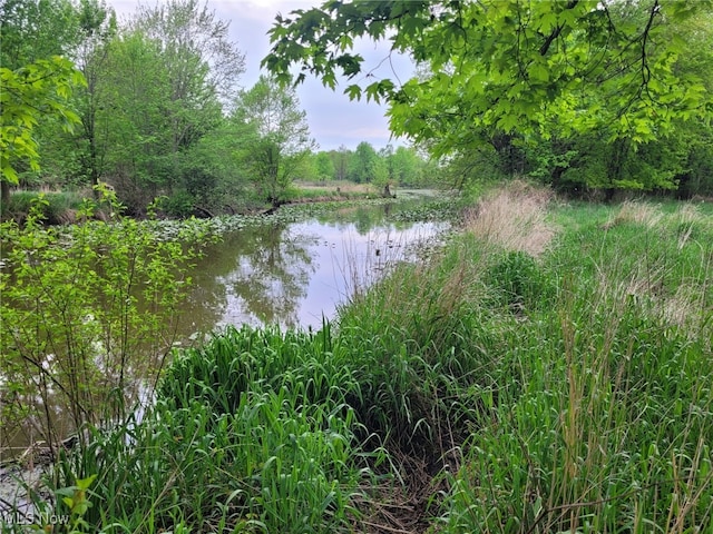 8000 Lake Rd, Seville, OH 44273 - water view