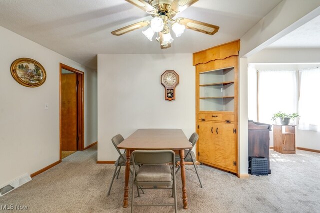12222 Cenfield St NE, Alliance, OH 44601 - photo 13