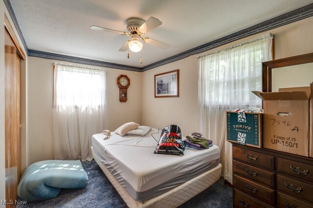 12222 Cenfield St NE, Alliance, OH 44601 - photo 30