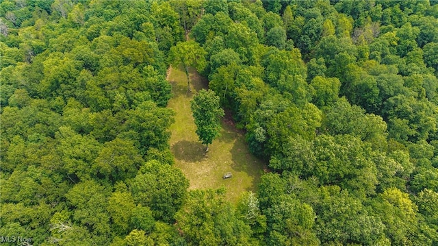 471 Buck Run, Pennsboro, WV 26415 - view of property location with a heavily wooded area
