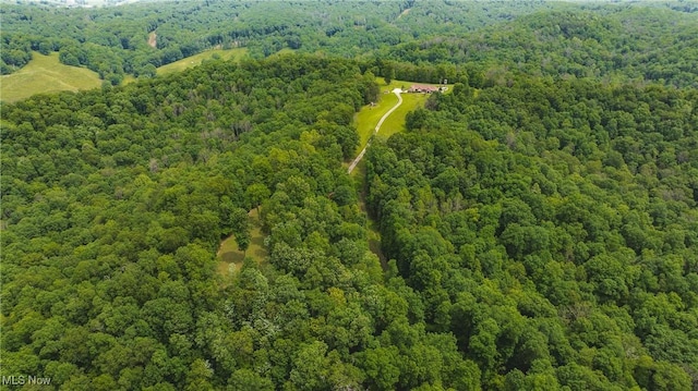 471 Buck Run, Pennsboro, WV 26415 - bird's eye view of a heavily wooded area
