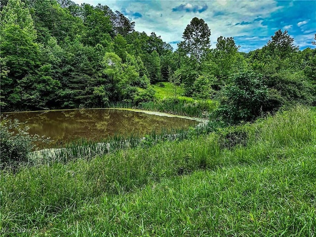 731 Fall Run Rd, Walker, WV 26180