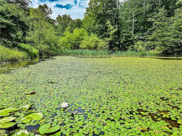 731 Fall Run Rd, Walker, WV 26180