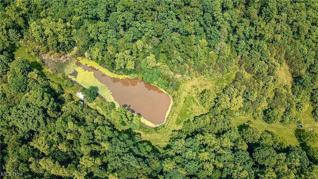 731 Fall Run Rd, Walker, WV 26180