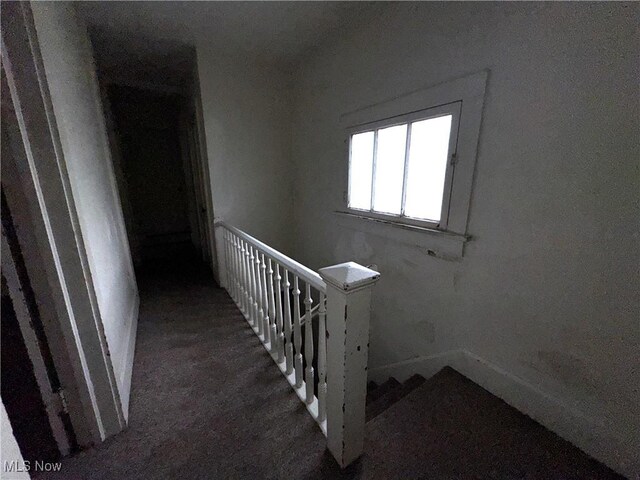 736 Homewood Ave, Zanesville, OH 43701 - photo 18