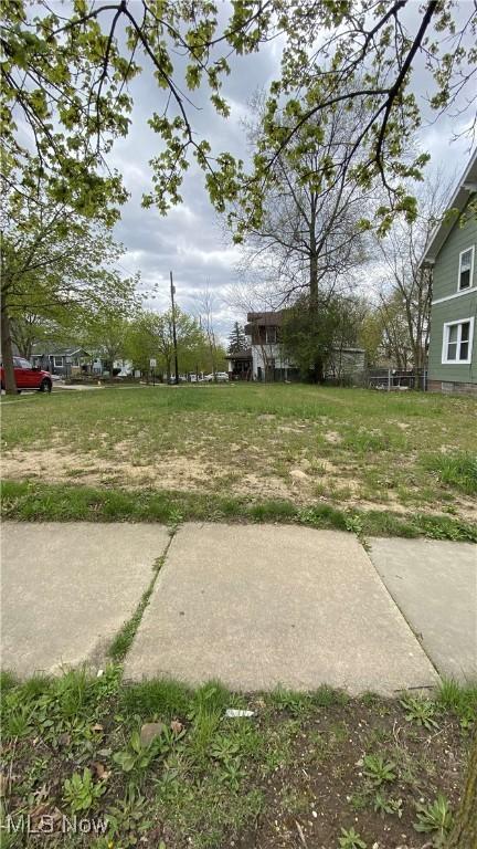 1442 Newton St, Akron, OH 44305 - photo 20