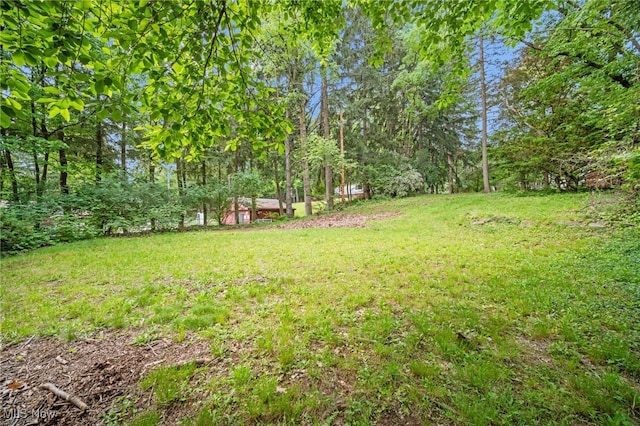 1540 S Belvoir Blvd, South Euclid, OH 44121 - view of grassy yard