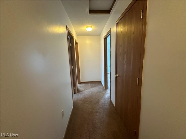 4322 Coleman Ave, Ashtabula, OH 44004 - hallway featuring carpet and baseboards