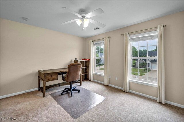 38484 Misty Meadow Trl, North Ridgeville, OH 44039 - photo 33