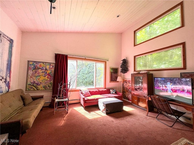 5060 Leffingwell Rd, Canfield, OH 44406 - carpeted living room featuring wooden ceiling and a baseboard heating unit