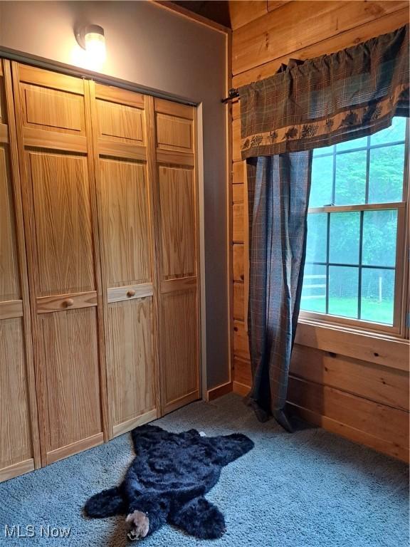 62158 Savage Rd, Cambridge, OH 43725 - unfurnished bedroom featuring carpet, a closet, and wood walls