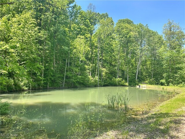 00001 Morton Hill Rd, Lower Salem, OH 45745 - photo 25