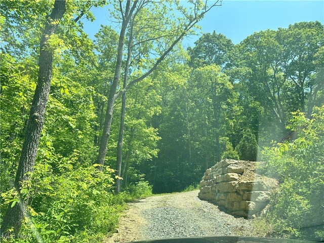 00001 Morton Hill Rd, Lower Salem, OH 45745 - photo 26