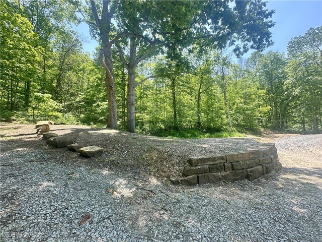 00001 Morton Hill Rd, Lower Salem, OH 45745 - photo 27