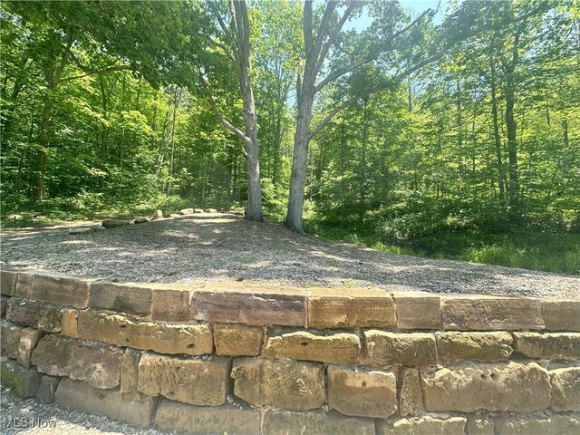 00001 Morton Hill Rd, Lower Salem, OH 45745 - photo 29