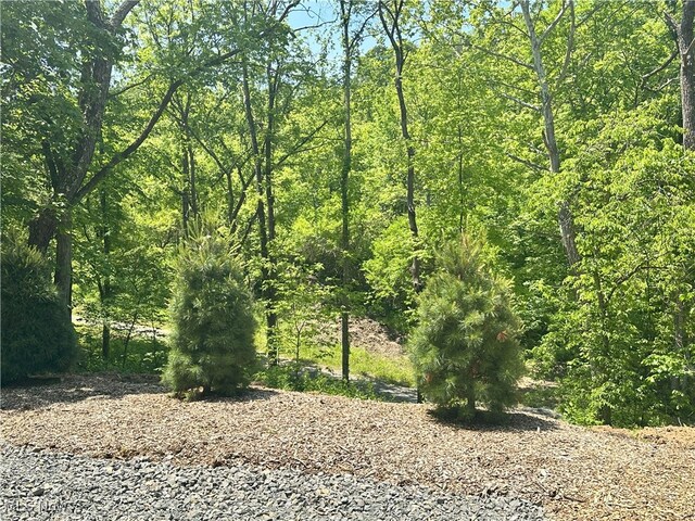 00001 Morton Hill Rd, Lower Salem, OH 45745 - photo 31