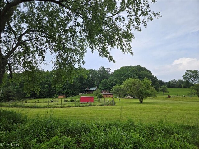 424 Avalon Rd SW, Dellroy, OH 44620 - view of grassy yard with a rural view