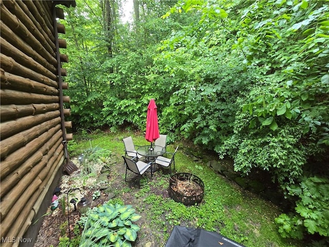 424 Avalon Rd SW, Dellroy, OH 44620 - view of yard with an outdoor fire pit