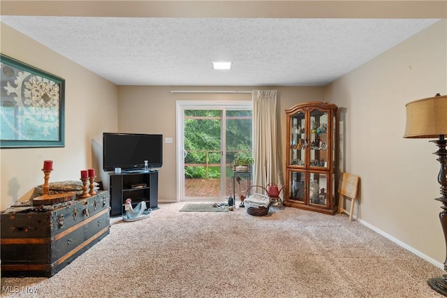 3467 Marian Rd, Ravenna, OH 44266 - sitting room featuring carpet floors, baseboards, and a textured ceiling