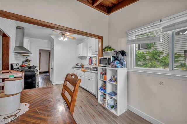15417 Parkgrove Ave, Cleveland, OH 44110 - kitchen featuring wall chimney range hood, stainless steel appliances, light wood-style flooring, white cabinets, and a ceiling fan