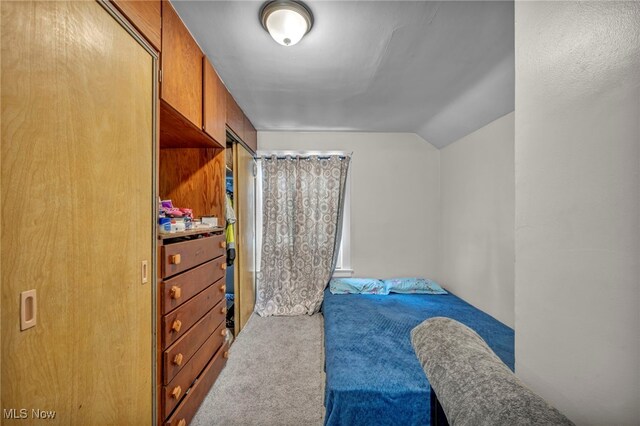 15417 Parkgrove Ave, Cleveland, OH 44110 - bedroom featuring carpet floors and vaulted ceiling