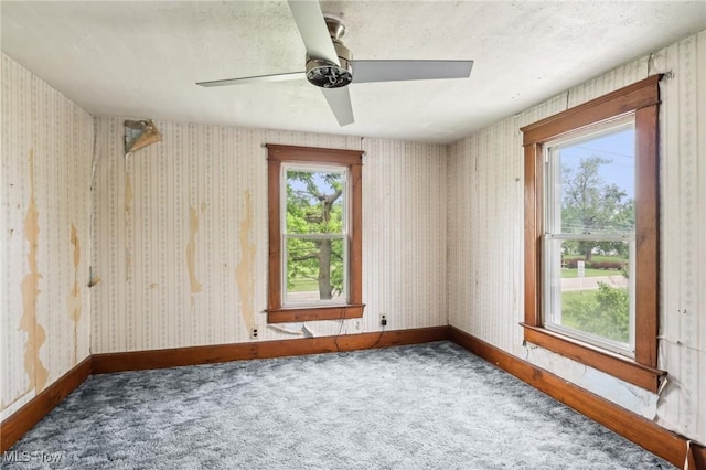 461 S Salem Warren Rd, North Jackson, OH 44451 - photo 34