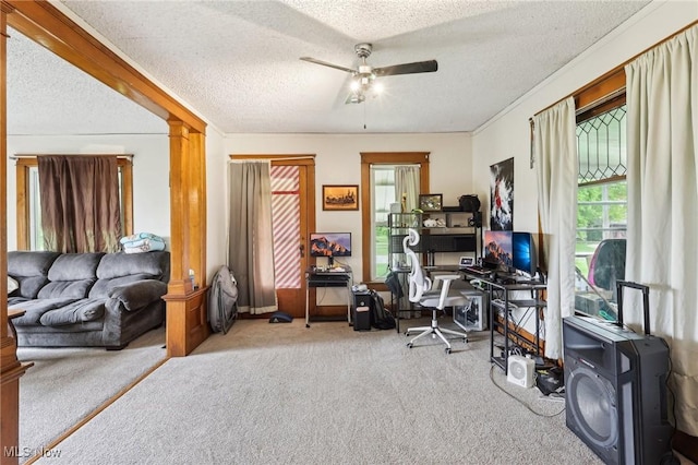461 S Salem Warren Rd, North Jackson, OH 44451 - photo 25