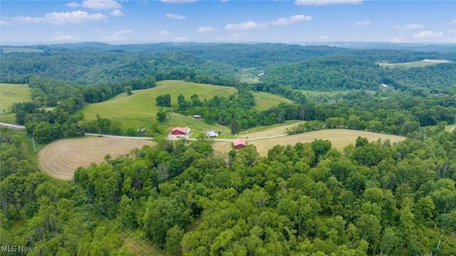 73117 Deck Rd, Freeport, OH 43973 - overview of rural landscape featuring a forest