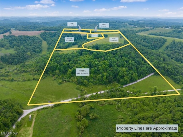 73117 Deck Rd, Freeport, OH 43973 - aerial view of property and surrounding area featuring property parcel outlined and a forest