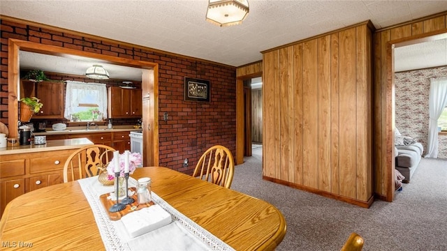 73117 Deck Rd, Freeport, OH 43973 - dining area with carpet, wooden walls, crown molding, and baseboards