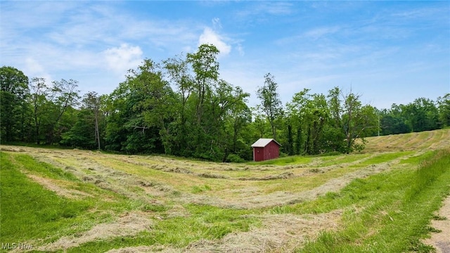 73117 Deck Rd, Freeport, OH 43973 - view of yard with a rural view and a wooded view