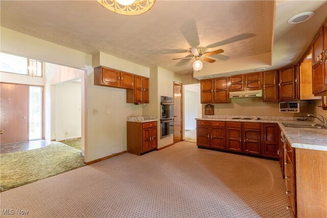 41510 Alderlick Rd, Wellsville, OH 43968 - kitchen with a sink, under cabinet range hood, light carpet, and double oven