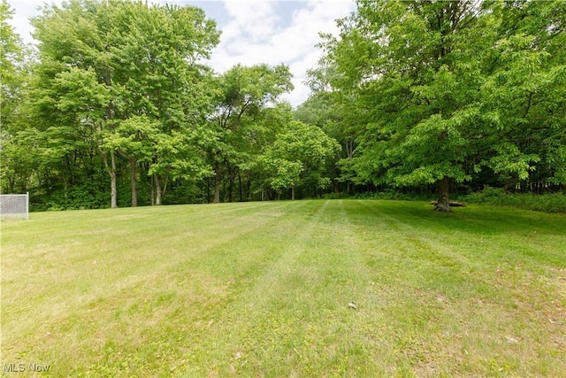 41510 Alderlick Rd, Wellsville, OH 43968 - view of grassy yard