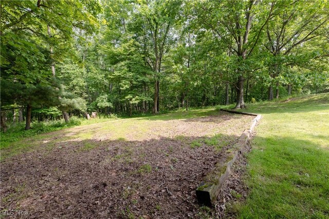 41510 Alderlick Rd, Wellsville, OH 43968 - view of green lawn with a view of trees