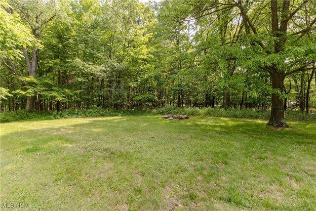 41510 Alderlick Rd, Wellsville, OH 43968 - view of grassy yard with a wooded view