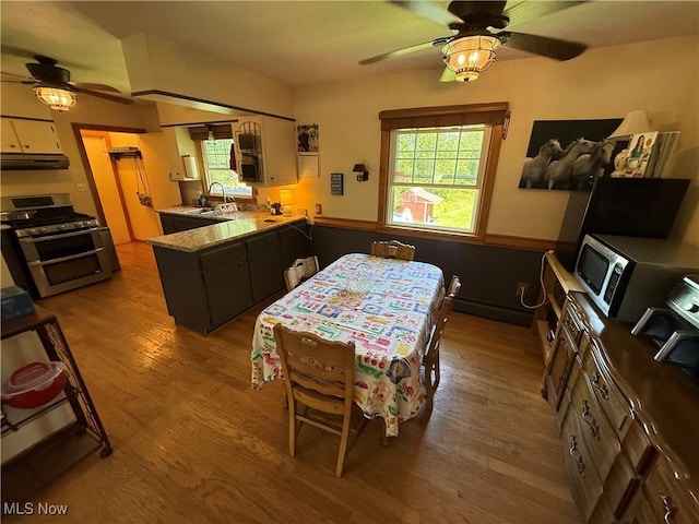 5301 S Ridge Rd W, Ashtabula, OH 44004 - dining room featuring a ceiling fan and light wood-style flooring