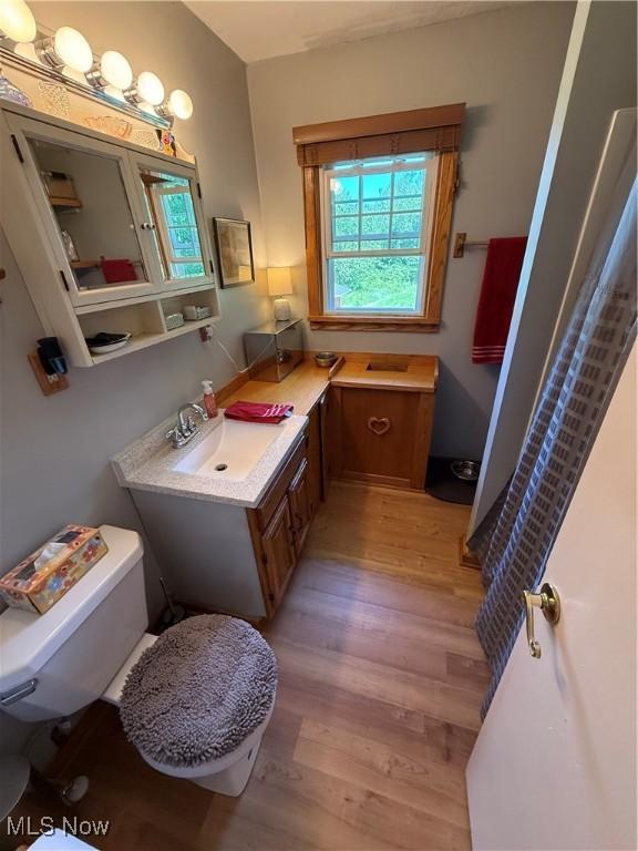 5301 S Ridge Rd W, Ashtabula, OH 44004 - full bathroom with wood finished floors, toilet, and vanity
