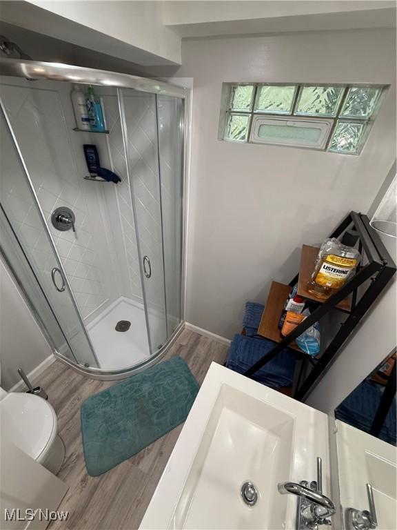 5301 S Ridge Rd W, Ashtabula, OH 44004 - full bath featuring wood finished floors, a shower stall, and a sink