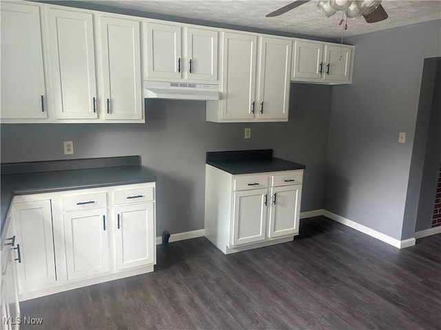 307 N 8th St, Coshocton, OH 43812 - kitchen with under cabinet range hood, a ceiling fan, baseboards, dark wood-style flooring, and a textured ceiling