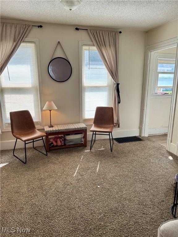 1310 W 8th St, Ashtabula, OH 44004 - living area with a textured ceiling, healthy amount of natural light, carpet, and baseboards