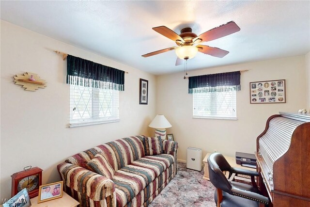 132 Karen Pl, Wintersville, OH 43953 - home office with ceiling fan