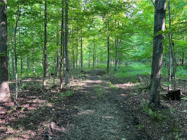 Orchard St, Andover, OH 44003