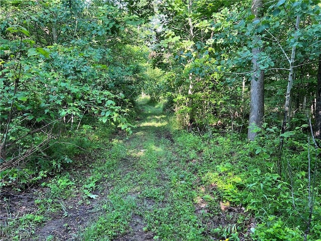 Orchard St, Andover, OH 44003