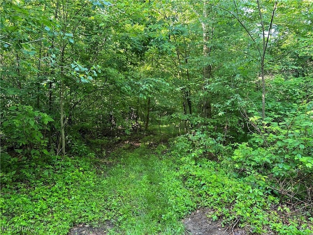 Orchard St, Andover, OH 44003