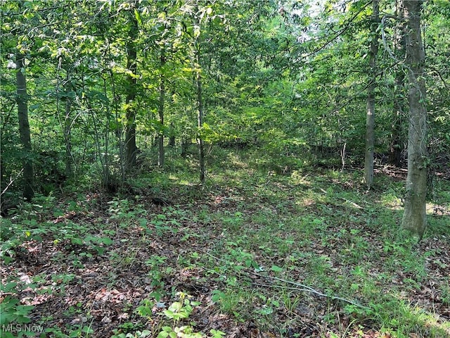 Orchard St, Andover, OH 44003