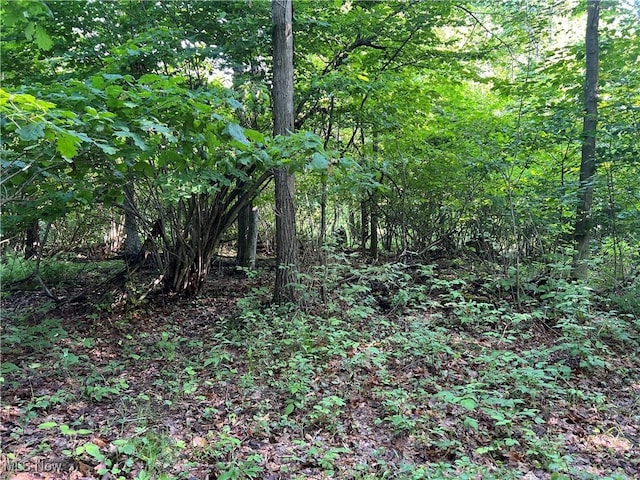 Orchard St, Andover, OH 44003