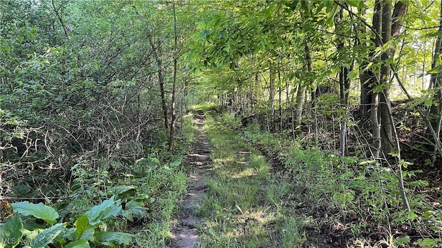 Orchard St, Andover, OH 44003