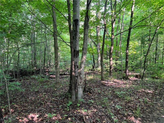 Orchard St, Andover, OH 44003