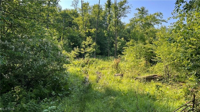 Orchard St, Andover, OH 44003
