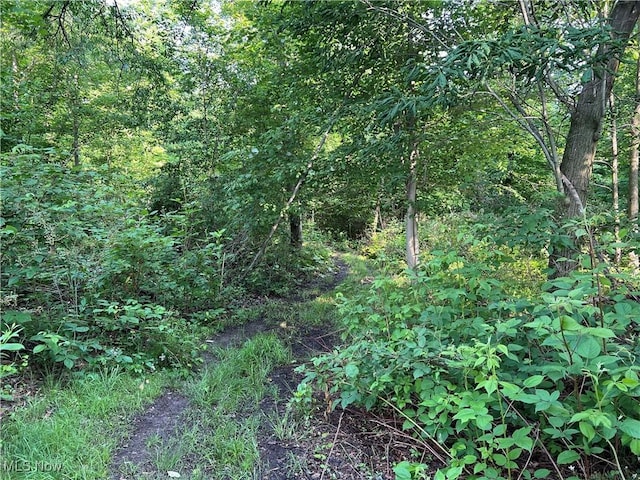 Orchard St, Andover, OH 44003